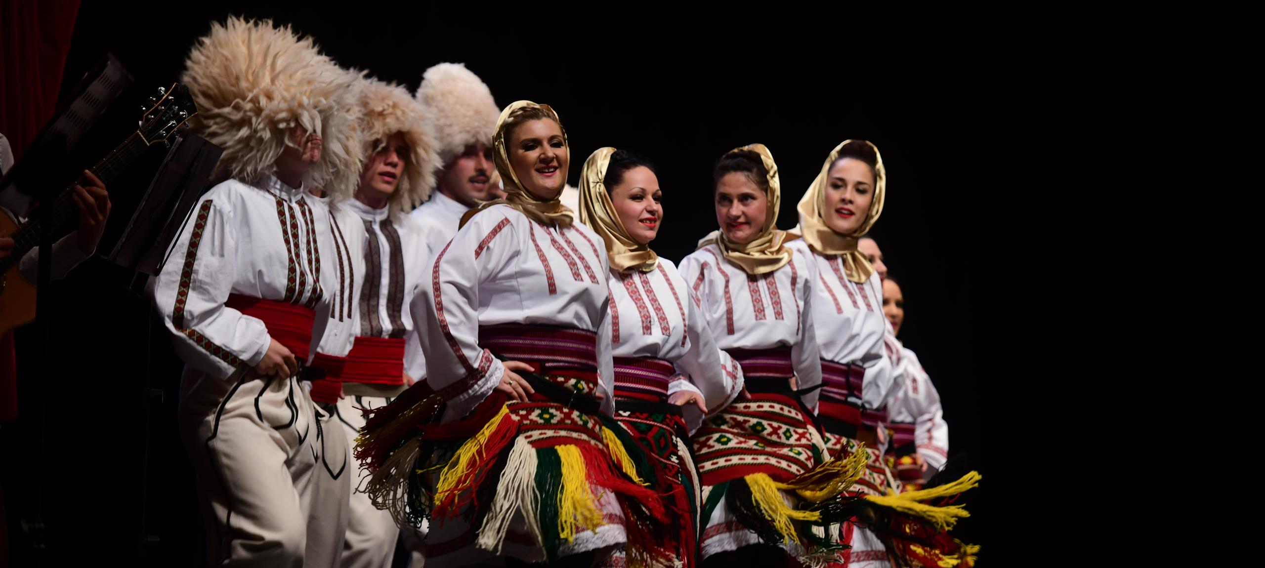  Izvajalski ansambel / folklorna sekcija