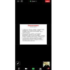 E22619A4-0147-40BD-A7F1-3596DE727AF4