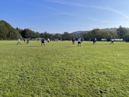 7DD6BB72-7CB0-4875-83C7-5B7132EB9761